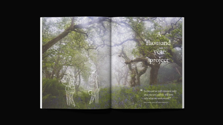 rr25_spreads_11.png