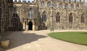 This week at Auckland Castle